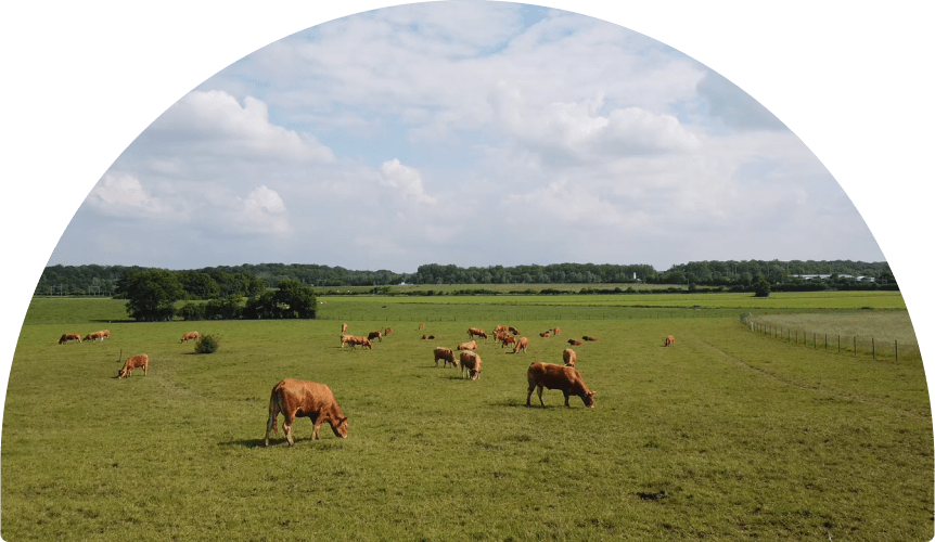 Jack Bio Laboratories team developing animal nutrition solutions